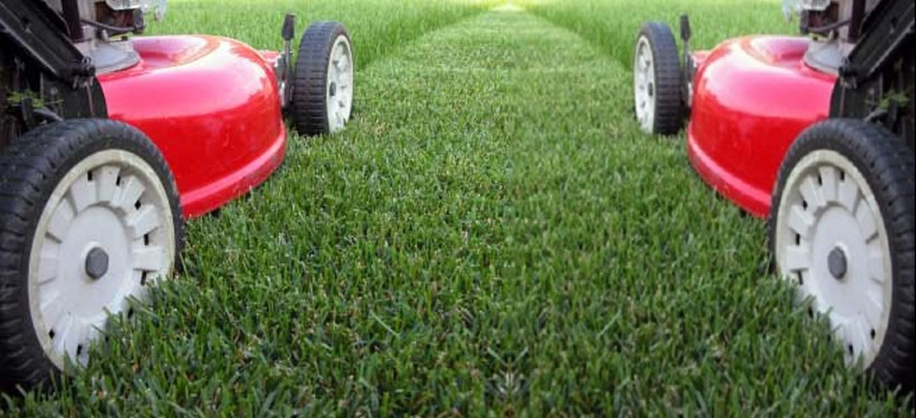 Lawn Care in Frisco Prosper Little Elm McKinney Plano ...